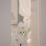 Fiorentini نابولي
